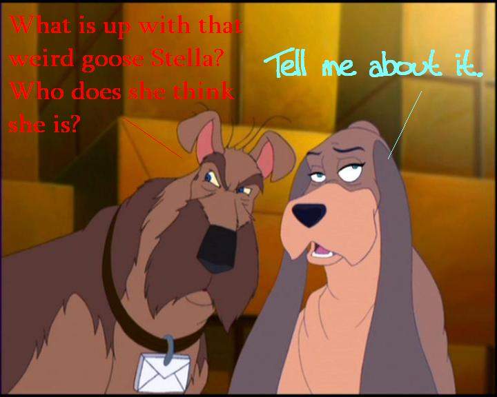 Gossip about Stella