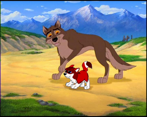 Balto 