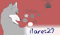 ilares29