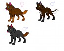 My half of the pups
