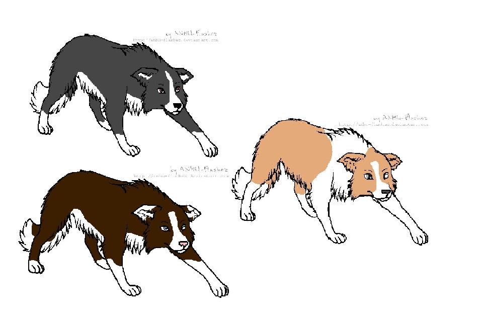 Moon,Oliver, and their six pups.