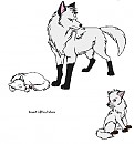 Desert, Aniu, and their mother