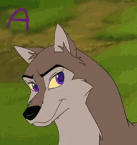 Aleu !