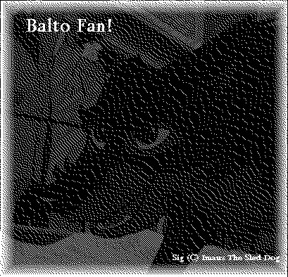 Balto signature 1