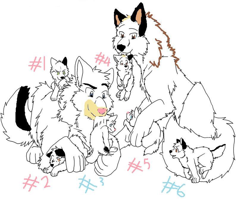 Sextuplets! (six pups)