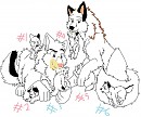 Sextuplets! (six pups)
