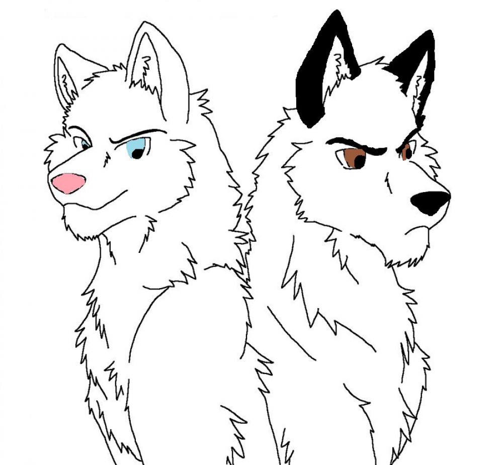 Two brothers