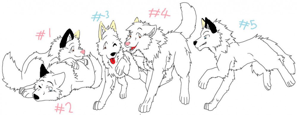 The 2nd litter!