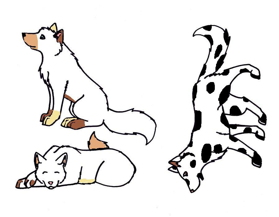 Adoptables
