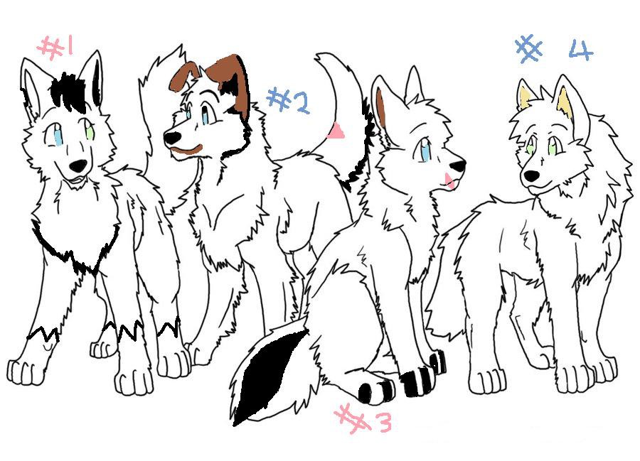 Four more adoptables!!!