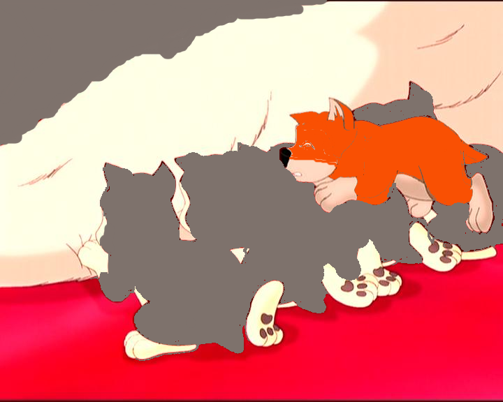 Belinda's Gray Wolf Family