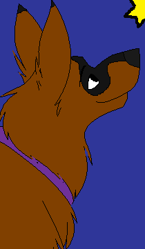 BieBie avatar