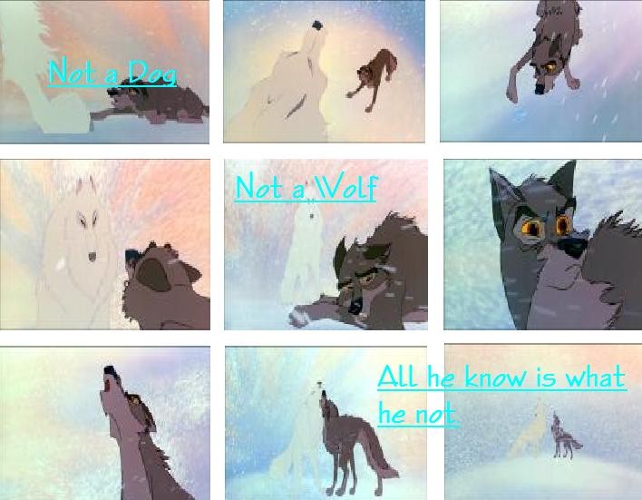 Not A Dog, Not A Wolf