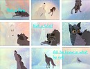 Not A Dog, Not A Wolf