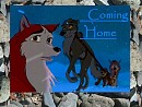 Hes coming home