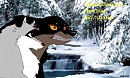  Please tell me you know that wolf. 