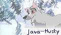 Java_Husky