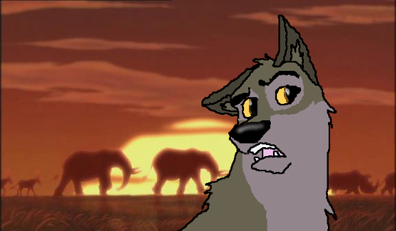 Balto's in AFRICA!