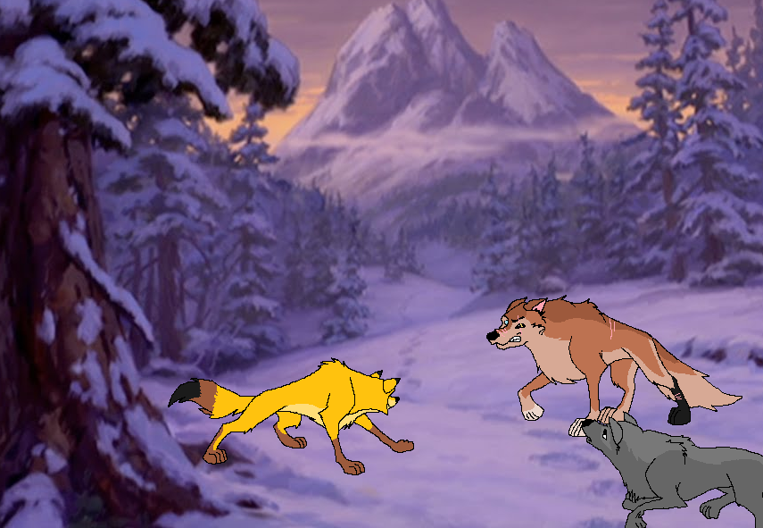 Puma vs. The Halfblood