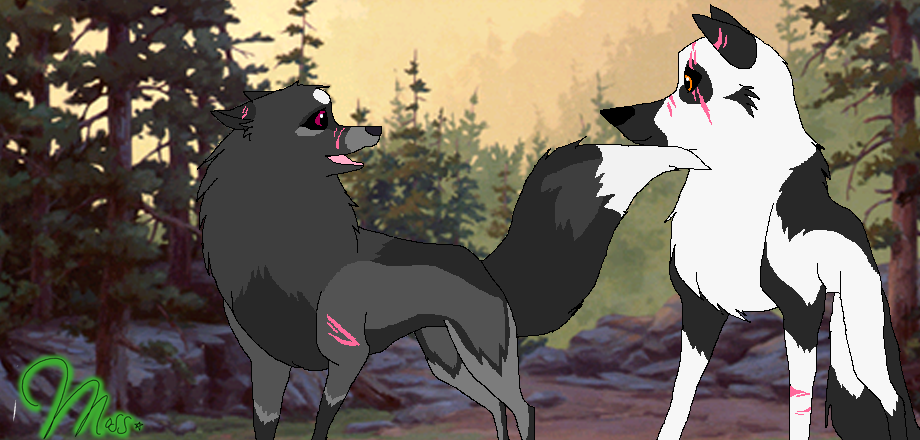 Adoptable Couple (Read Details)