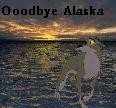 Balto Leaves Alaska Avatar