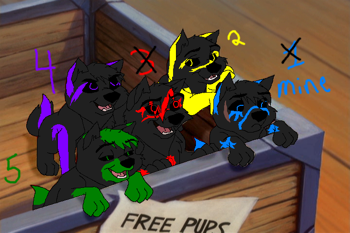 up for adoption!