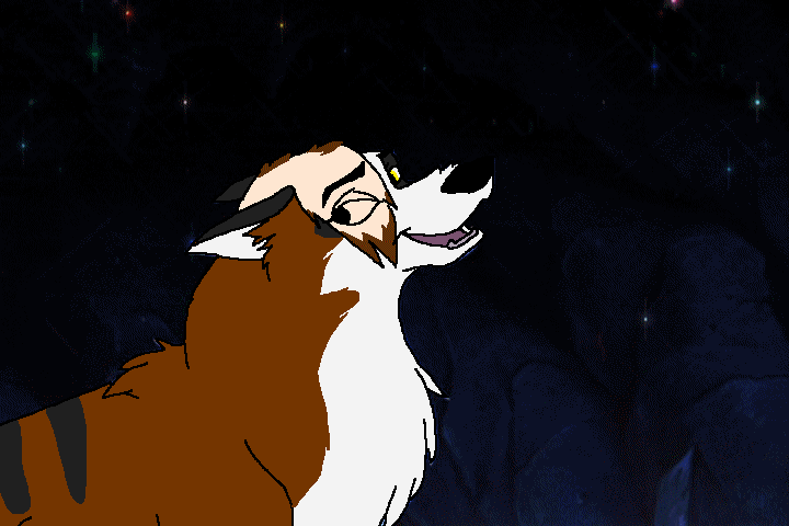 Suni for saphire wolf {star}