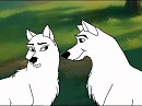 Dingo's Approach