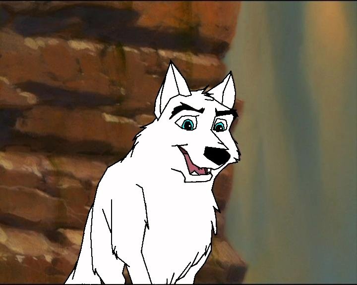 Dingo