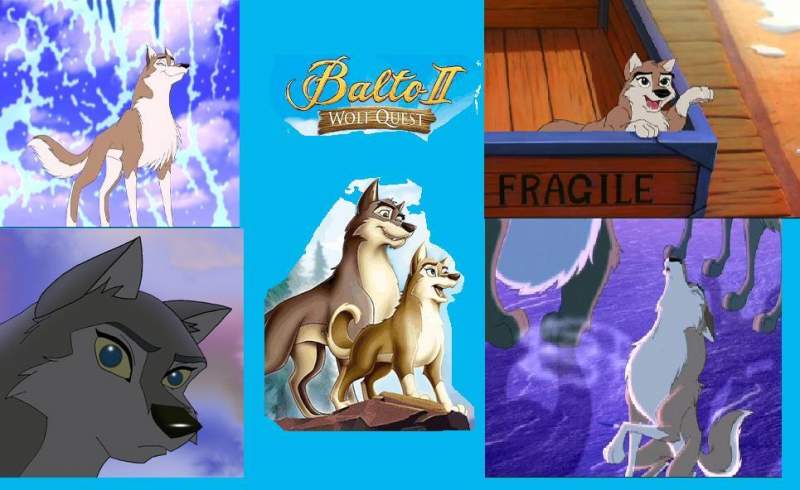 Wolf quest