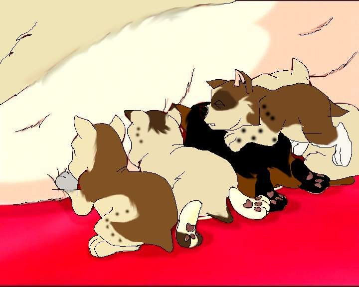 THE PUPPERS ARE HERE!