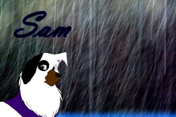Sam