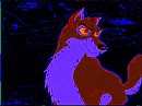 Balto 