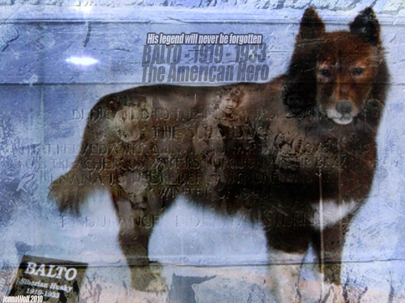 The American Hero | Balto 1919 - 1933