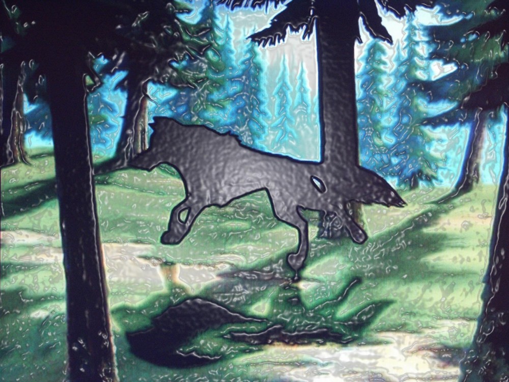 Spirit Wild and Free