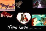 True Love.....