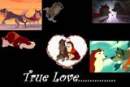 True Love.....