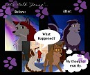What Happened?