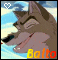 gif balto