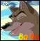gif balto