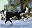 Born Running, Black Raven