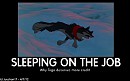  What ifs?  - Balto #1