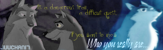 Who You Really Are