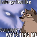 Avvie Chuckles 03