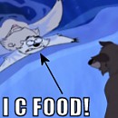 Avvie Chuckles 06