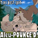 Avvie Chuckles 11