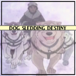 Dog Sledding Destiny