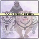 Dog Sledding Destiny