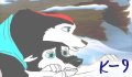 k_9