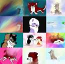 collage of all my picies